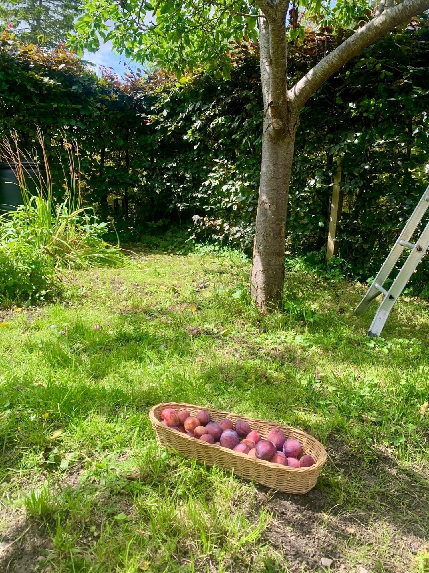 The Little Orchard Villa Watlington  Buitenkant foto